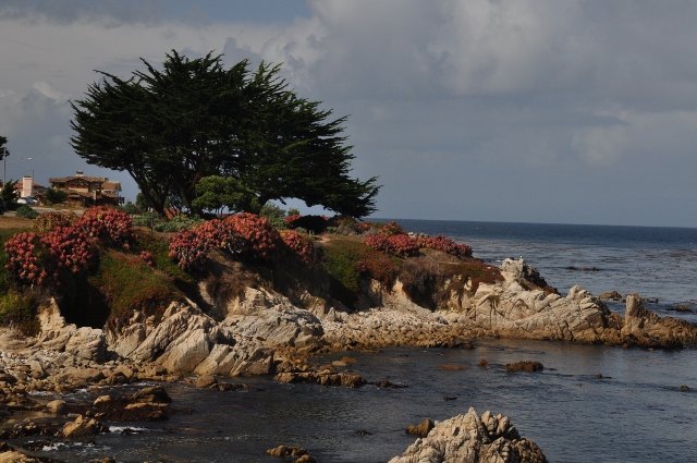 Pacific Grove